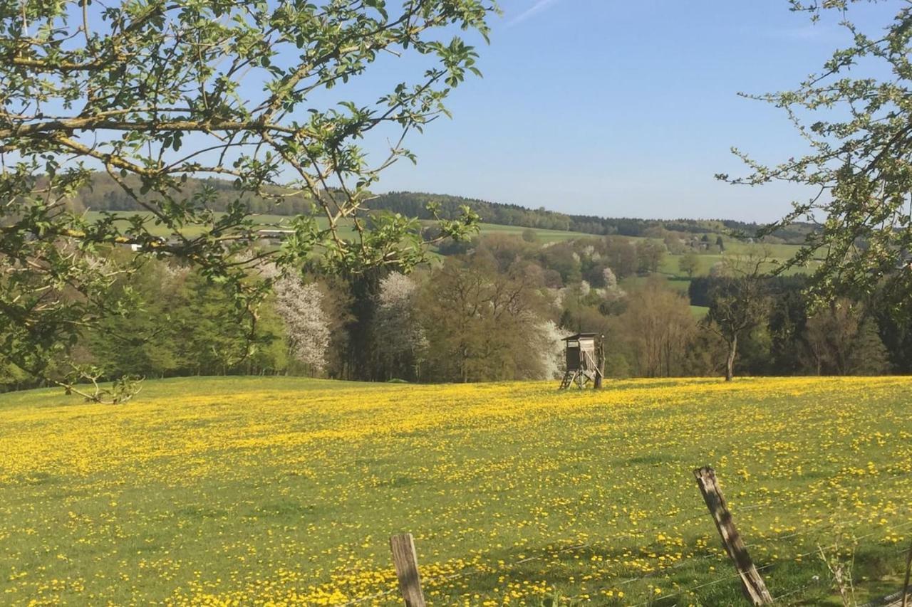Wohlfuehlen In Wiehl - Drabenderhoehe エクステリア 写真